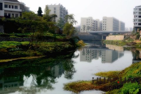 『隨華全，觀天下』 ——走進漣水